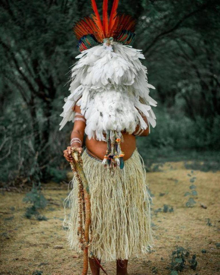Image of the spiritual leader of the Pankararu Opará people, Washington Jaguriçá, dressed in traditional attire: a straw skirt, a cloak made of bird feathers, and a red headdress.